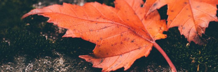 Get started with change management