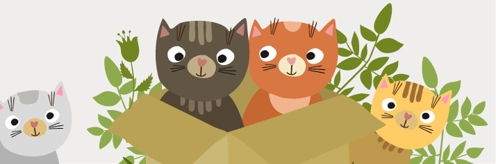 Kittens teach us about BRM