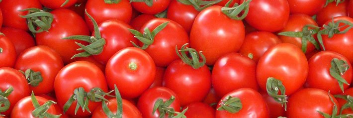 You Say Tomato: Help Desk vs. Service Desk