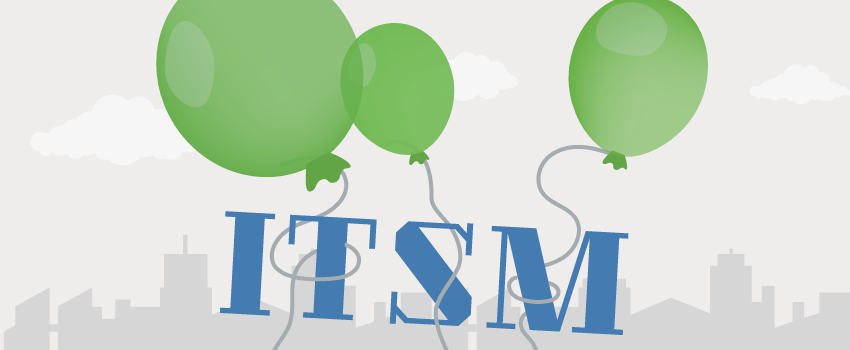 FitSM Light Framework